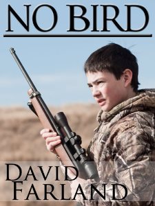 No Bird book by David Farland